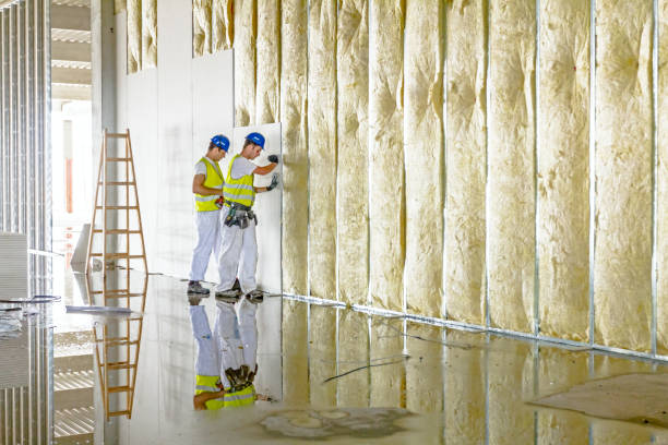 Professional Insulation Contractor in WY